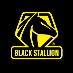 Black Stallion