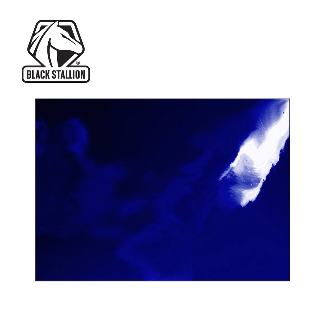 Black Stallion 6X10V1-BLU 14 Mil 6' x 10' Blue Saf-Vu 1 Panel Welding Screen Only