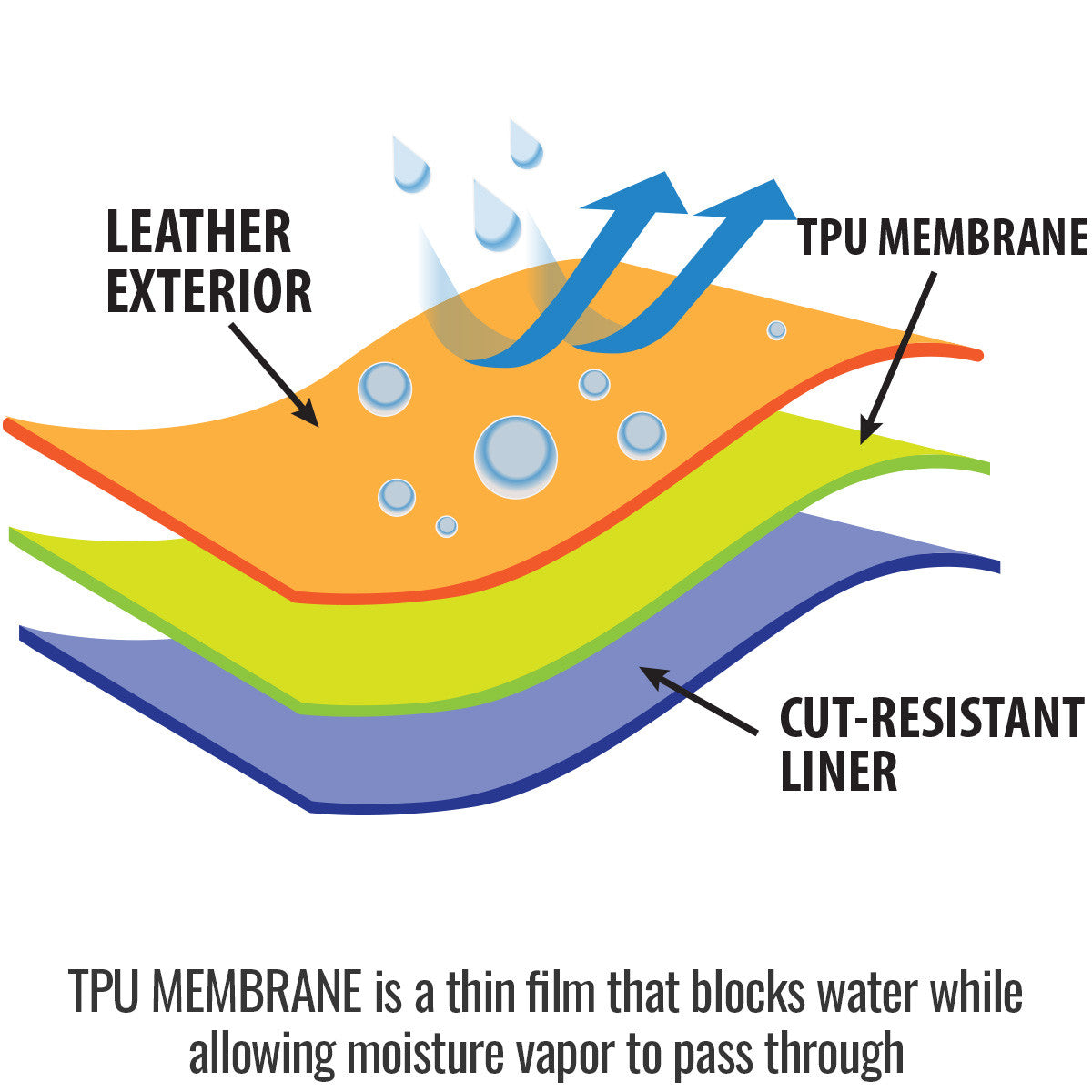 Liner TPU Membrane is a thin film that blocks water while allowing moisture vapor to pass through — Black Stallion…